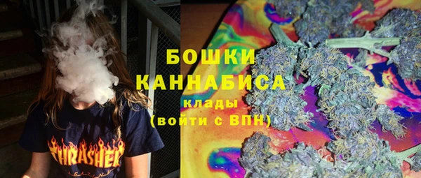 шишки Белоозёрский