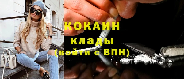 шишки Белоозёрский