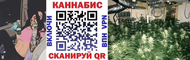 Конопля марихуана  Межгорье 